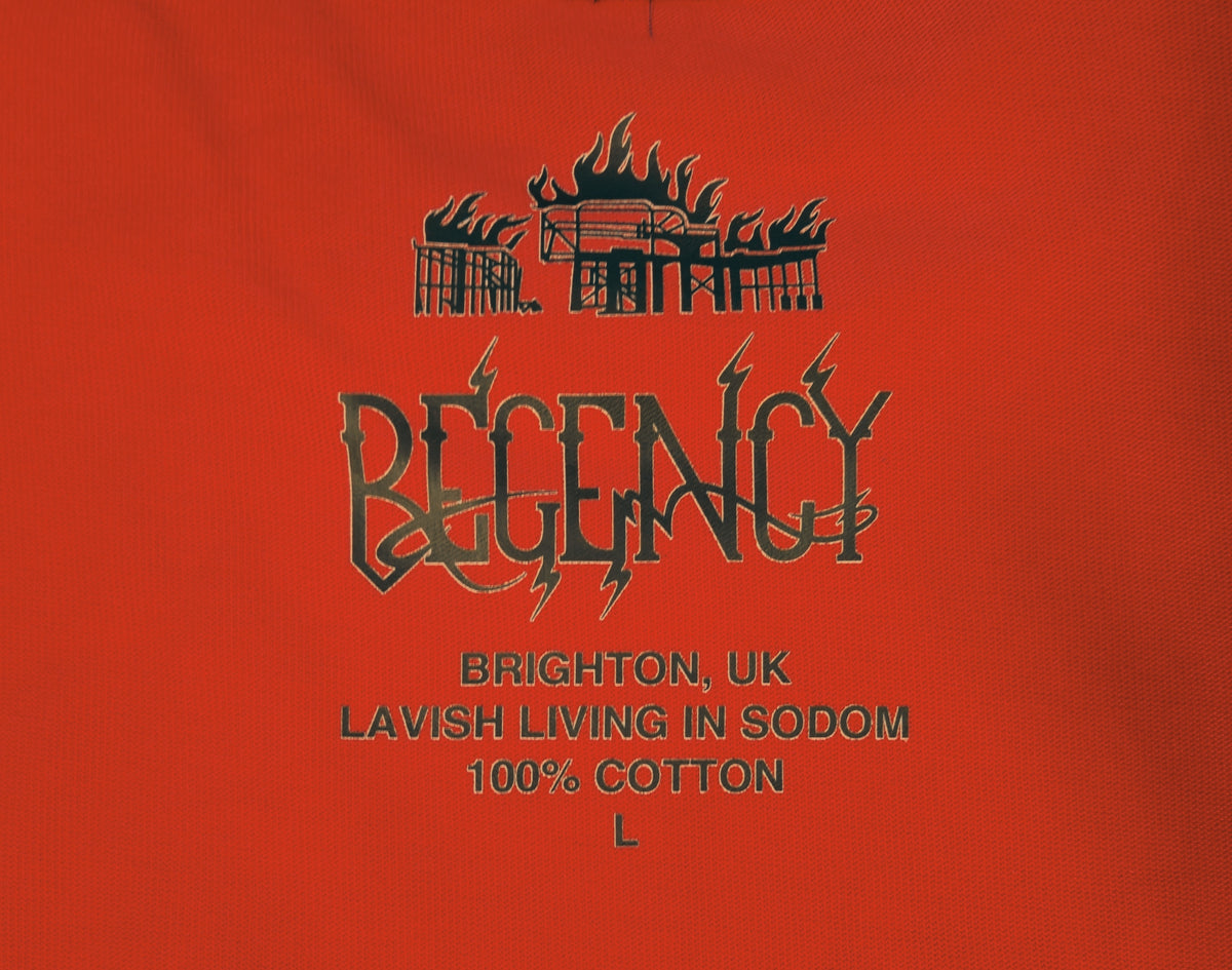 Lavish Living In Sodom T-shirt