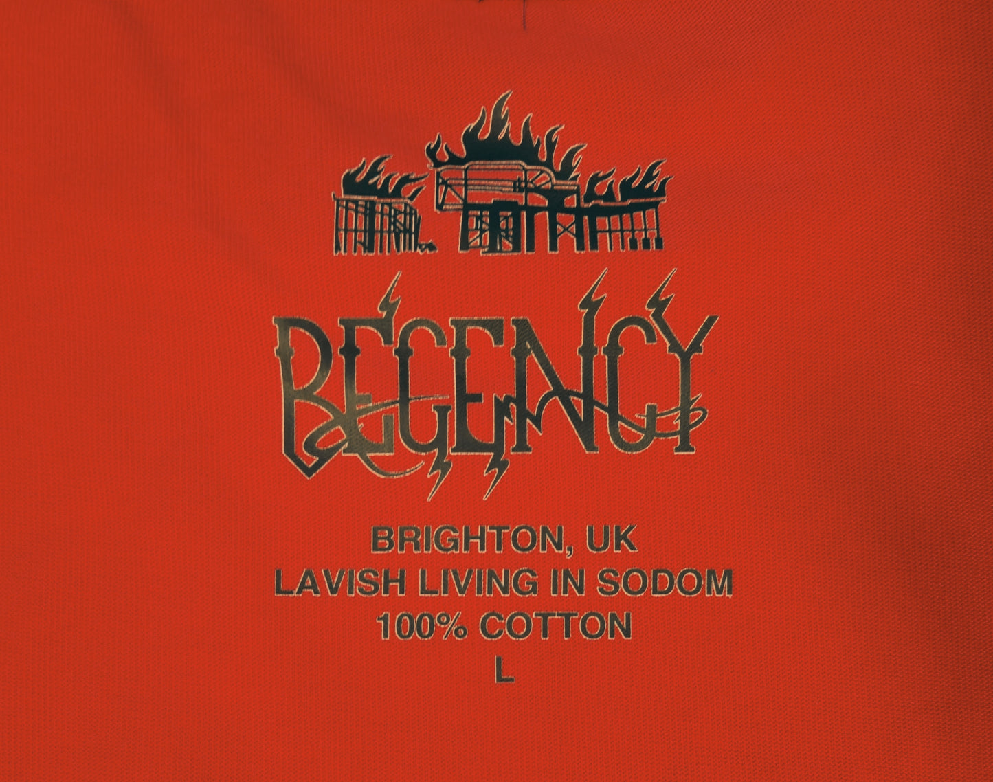 Lavish Living In Sodom T-shirt